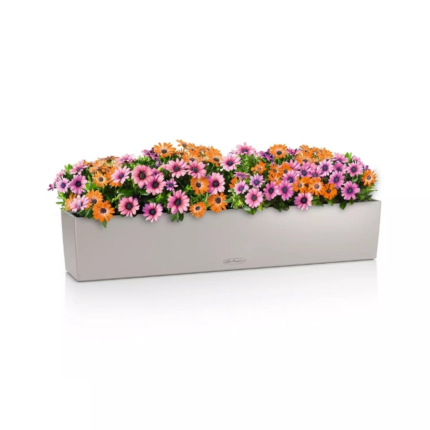 Lechuza Blumenkasten Balconera Color 100 Sandbraun 15917