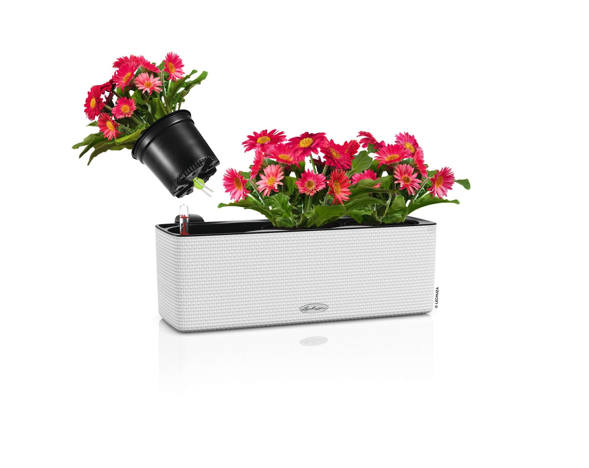 Lechuza Blumenkasten Cube Color Triple Weiß Wasserspeicher