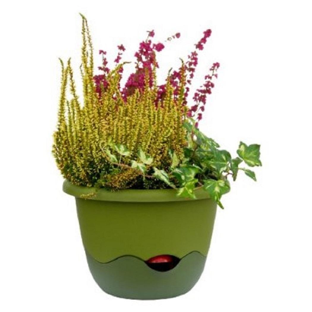 Plastia Blumenampel Mareta 25 grün Wasserspeicher