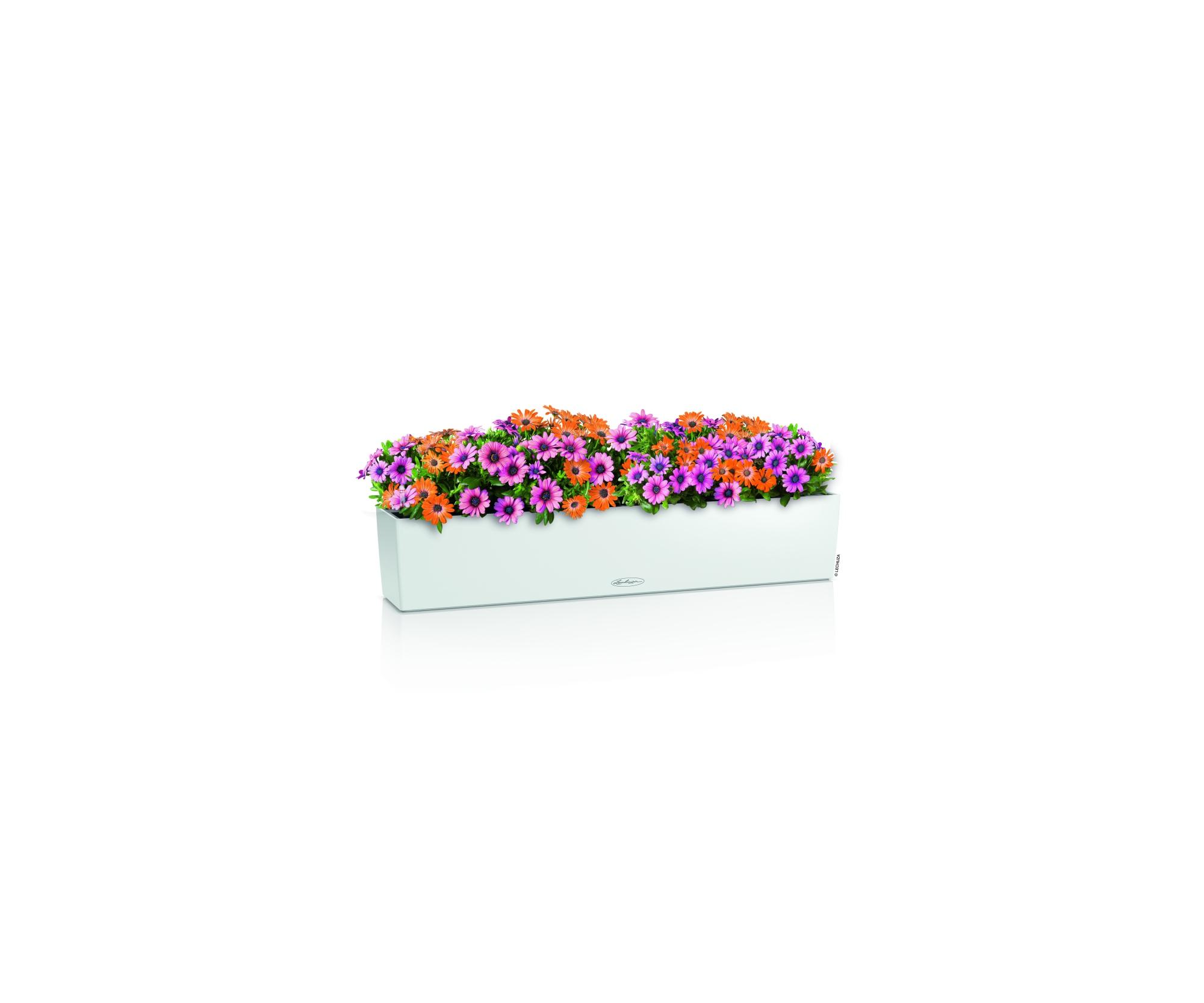 Lechuza Blumenkasten Balconera Color 100 Weiß 15919