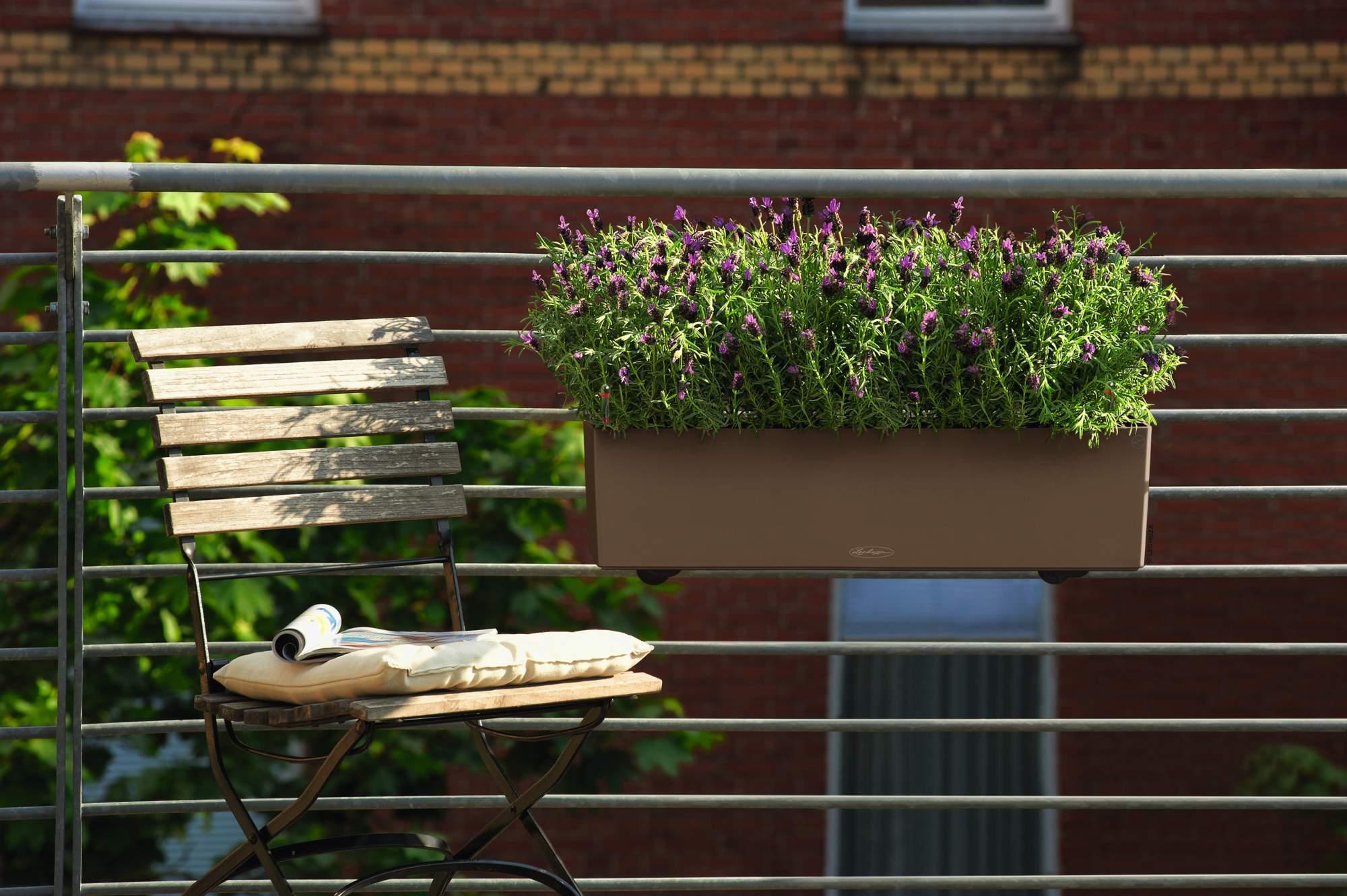 Lechuza Blumenkasten Balconera Color 80 muskat braun