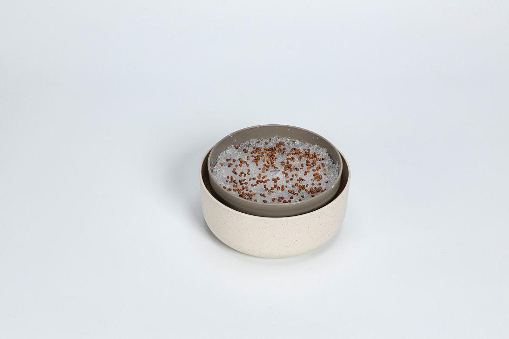 Plastia Urbalive 1er Pflanzschale Keimsprosskit Microgreens 