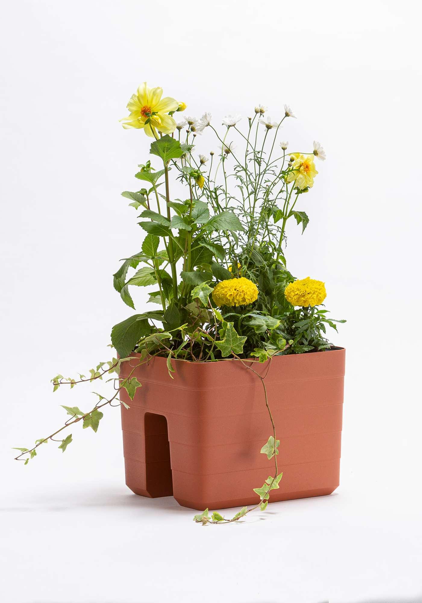 Plastia Blumenkasten Berberis Geländertopf Wasserspeicher Taupe 