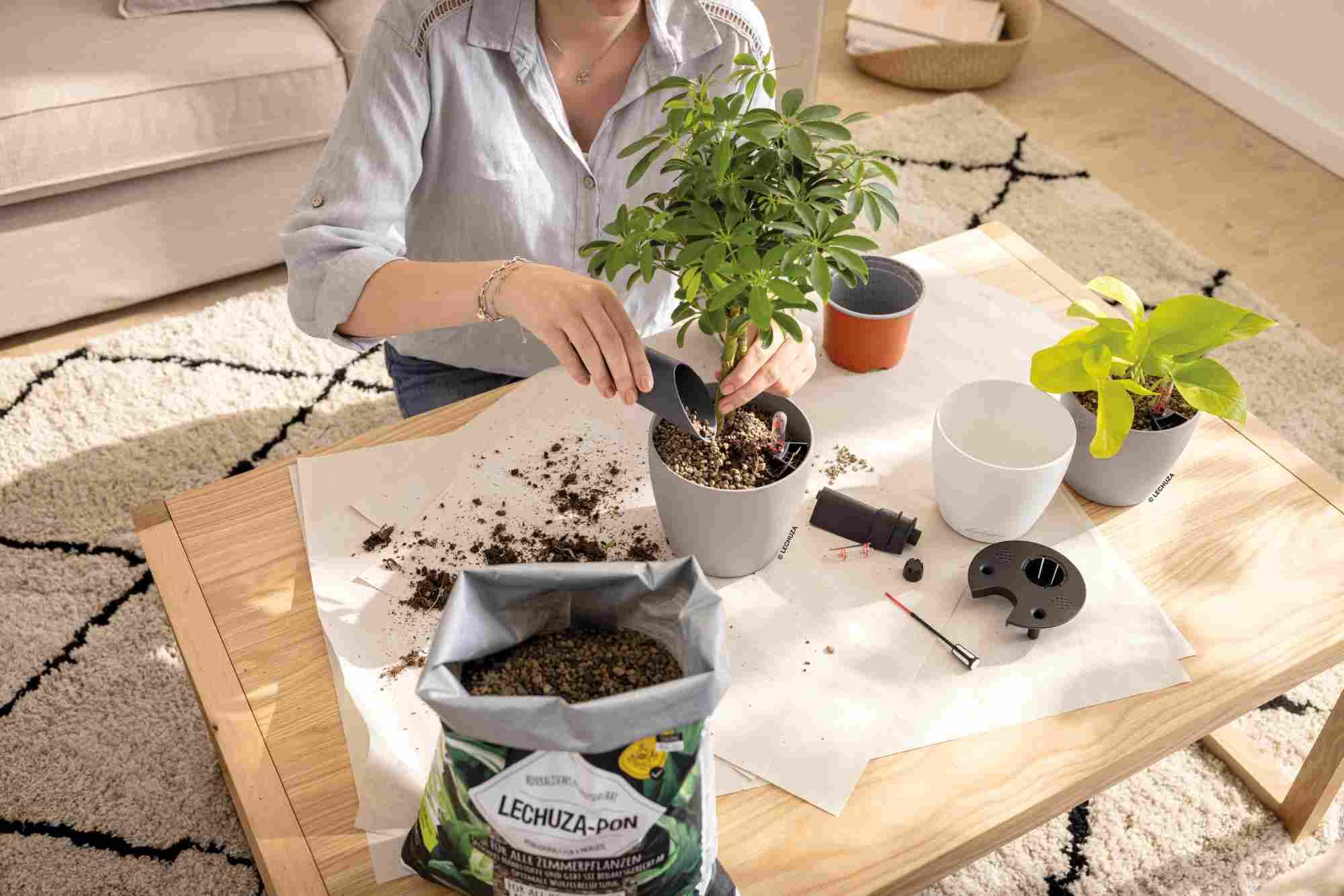 Lechuza Blumentopf rund Classico Color 14 Sandbraun