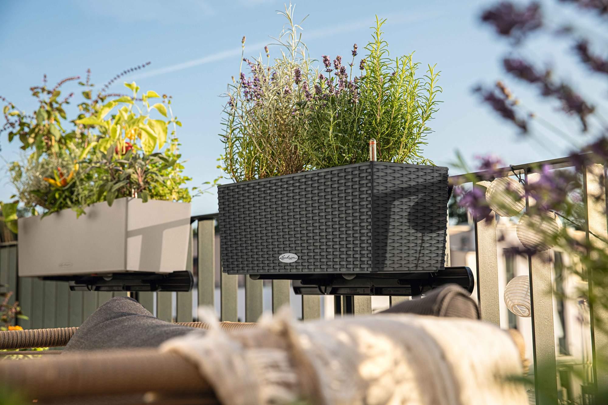 Lechuza Blumenkasten Balconera Cottage 50 sandbraun