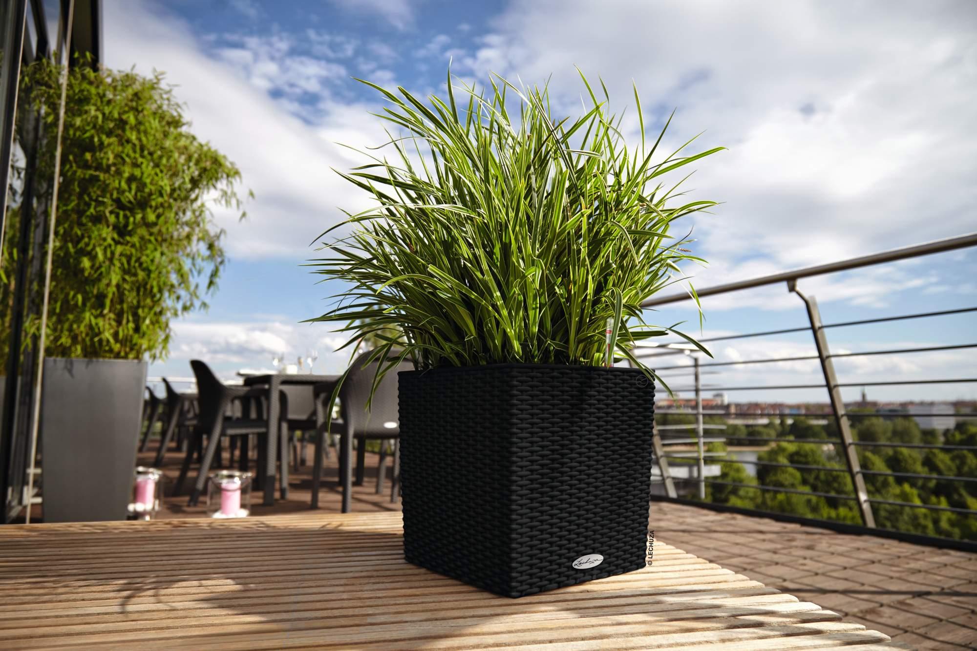 Lechuza Blumentopf groß Cube Cottage 30 graphitschwarz