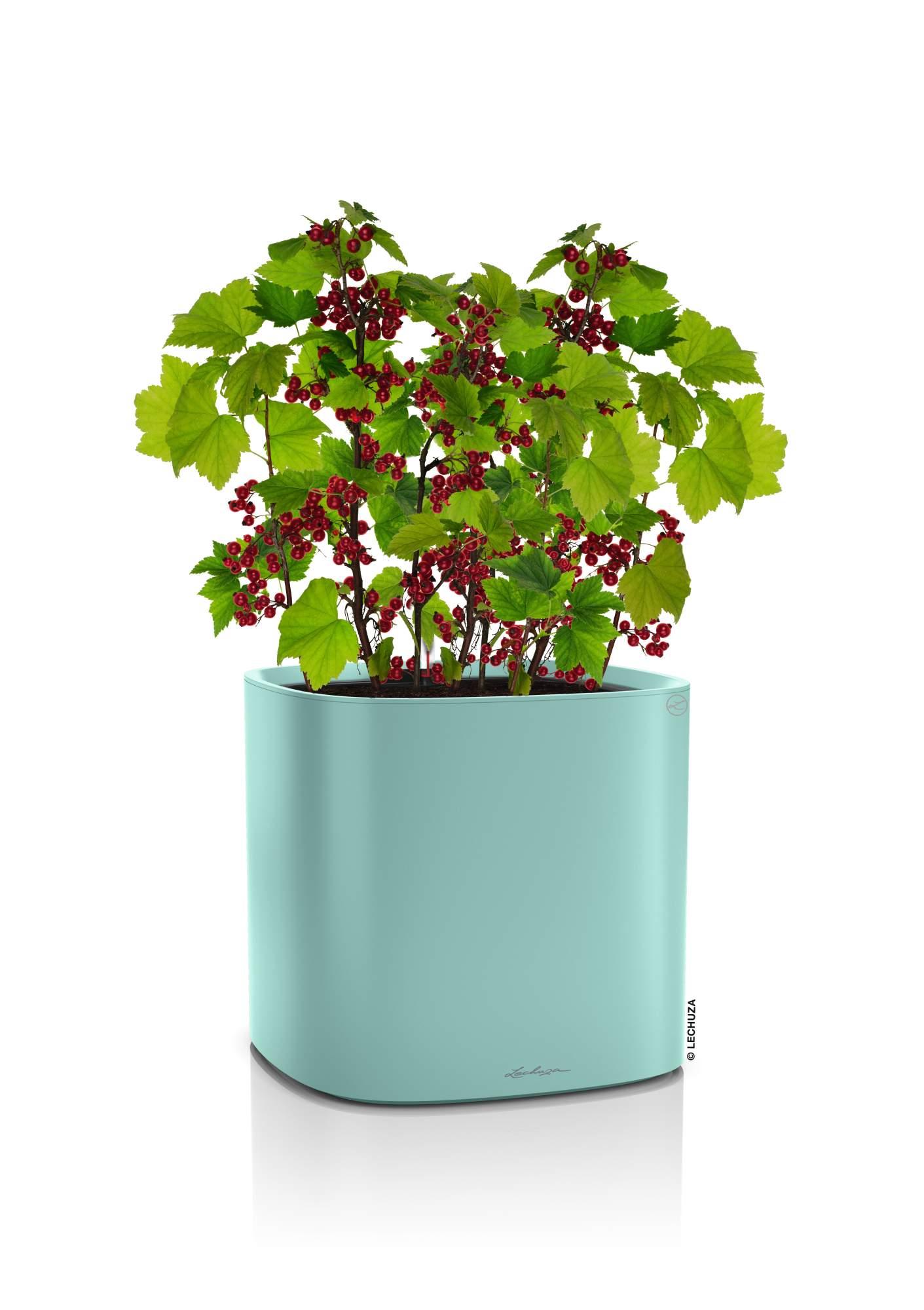Lechuza Blumentopf hoch Pila Color Planter pastellgrün Lechuza Blumentopf hoch Pila Color Planter pastellgrün