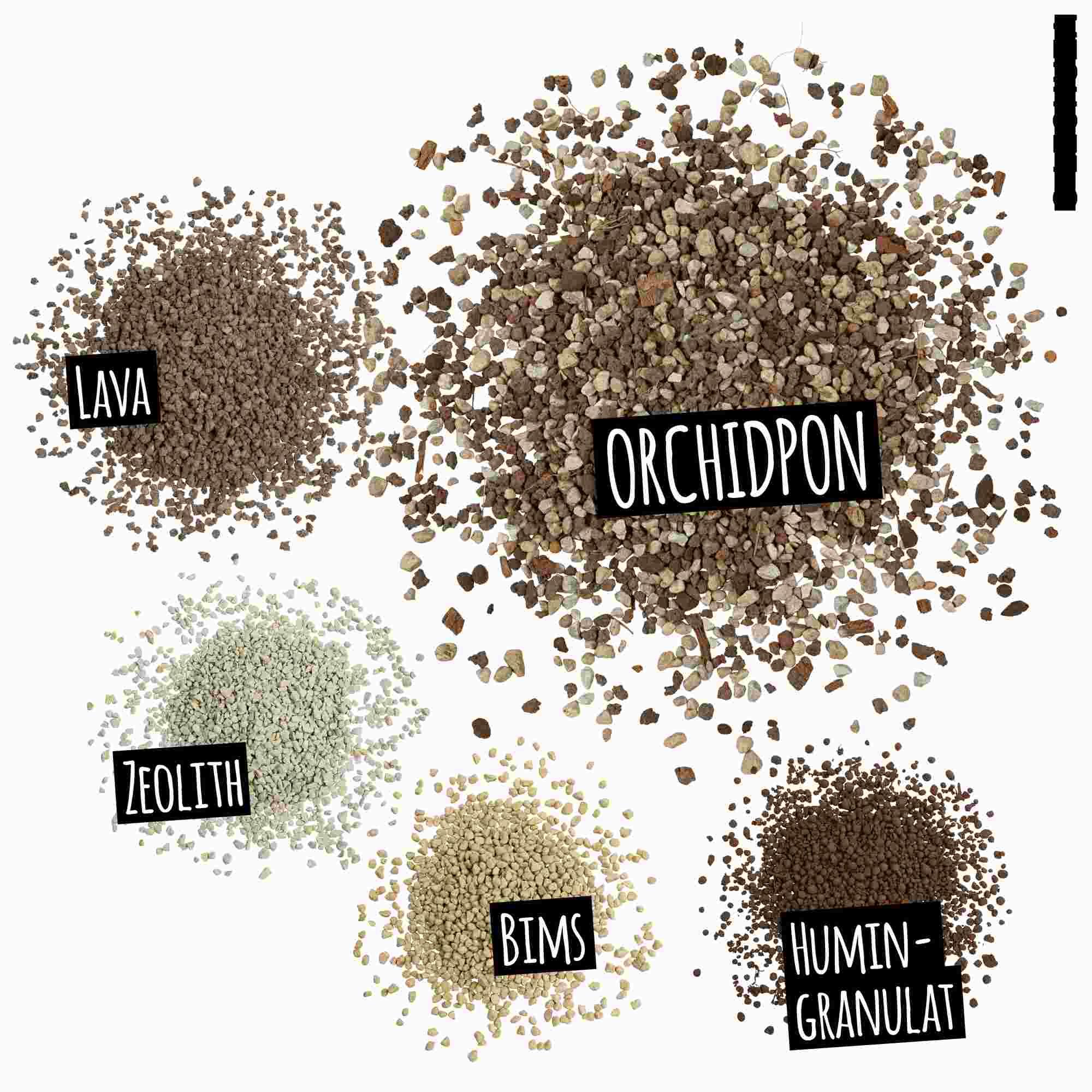 Lechuza Pon Substrat Orchidpon 3 L Orchideen Lechuza Pon Substrat Orchidpon 3 L Orchideen
