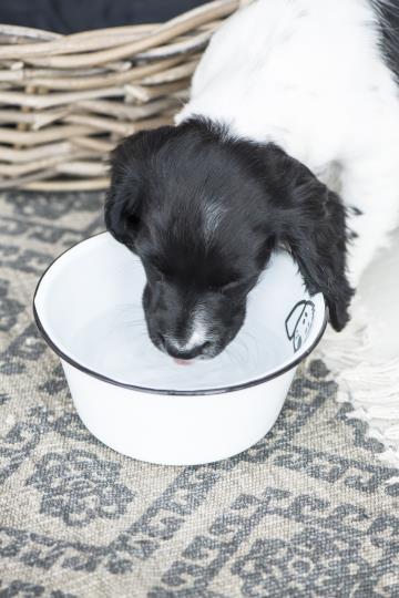 IB Laursen Fressnapf Hund klein 17cm Emaille weiß 0444-11