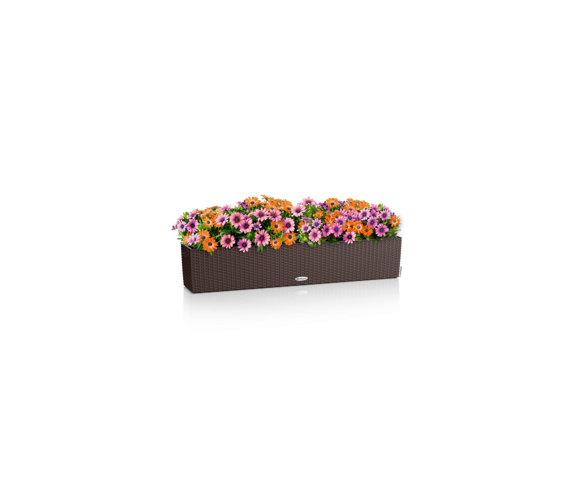 Lechuza Blumenkasten Balconera Cottage 100 Mokka Braun 15912 Lechuza Blumenkasten Balconera Cottage 100 Mokka Braun 15912