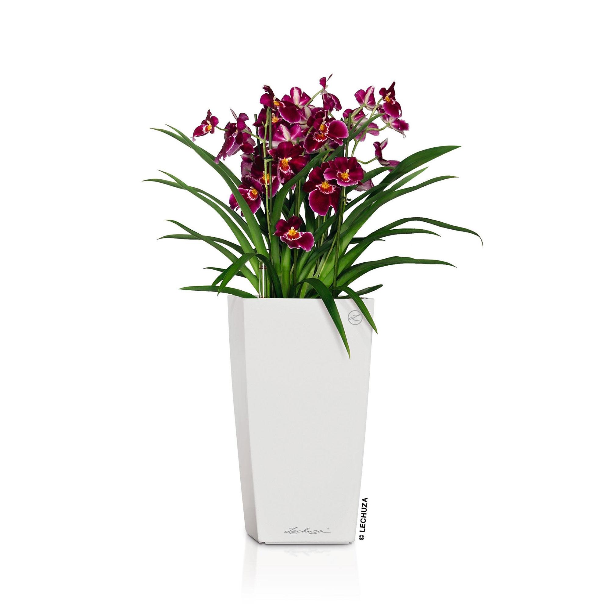 Lechuza Blumentopf hoch Cubico 22 weiß Hochglanz