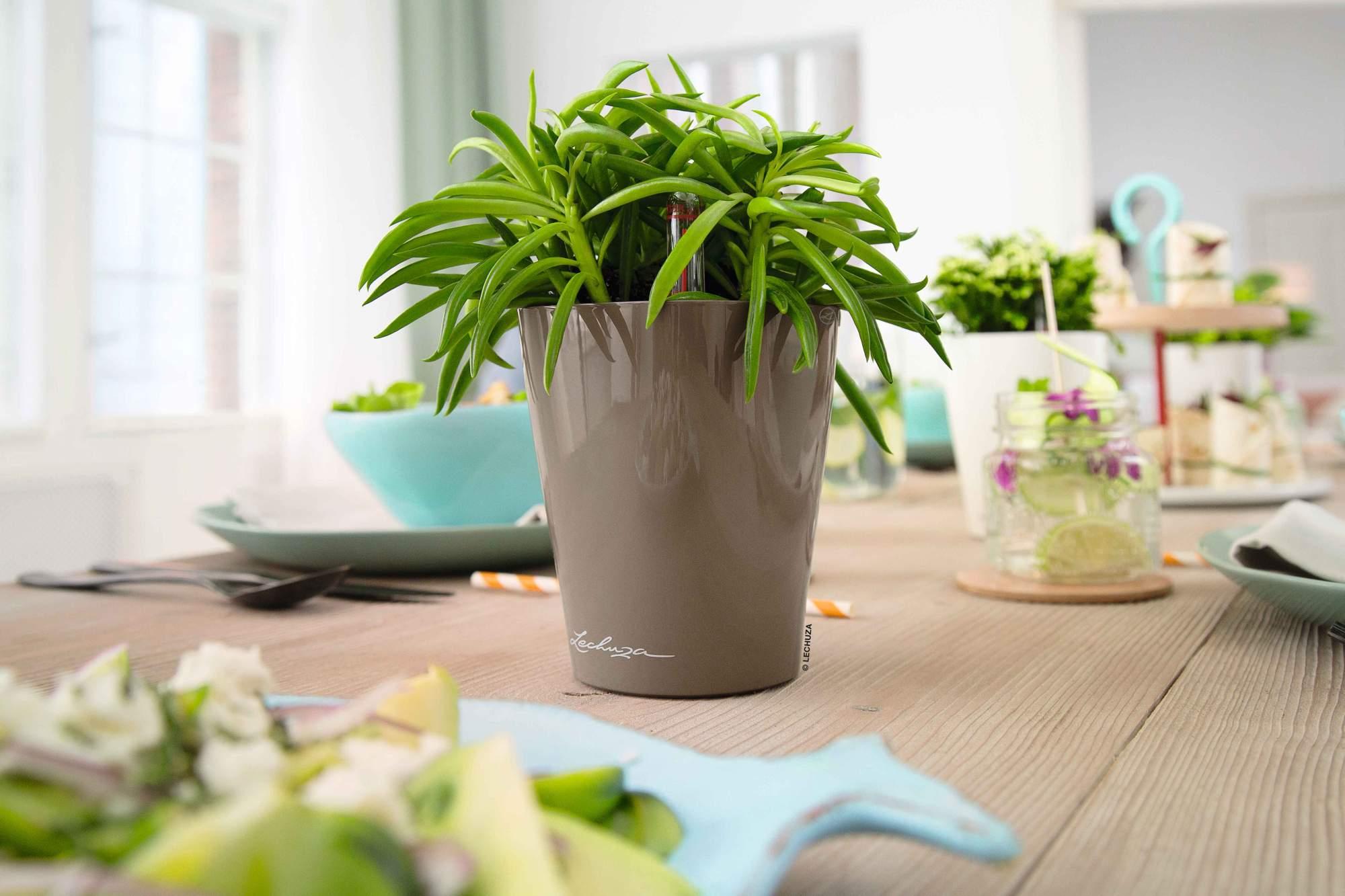 Lechuza Blumentopf klein Mini Deltini taupe hochglanz braun Lechuza Blumentopf klein Mini Deltini taupe hochglanz braun