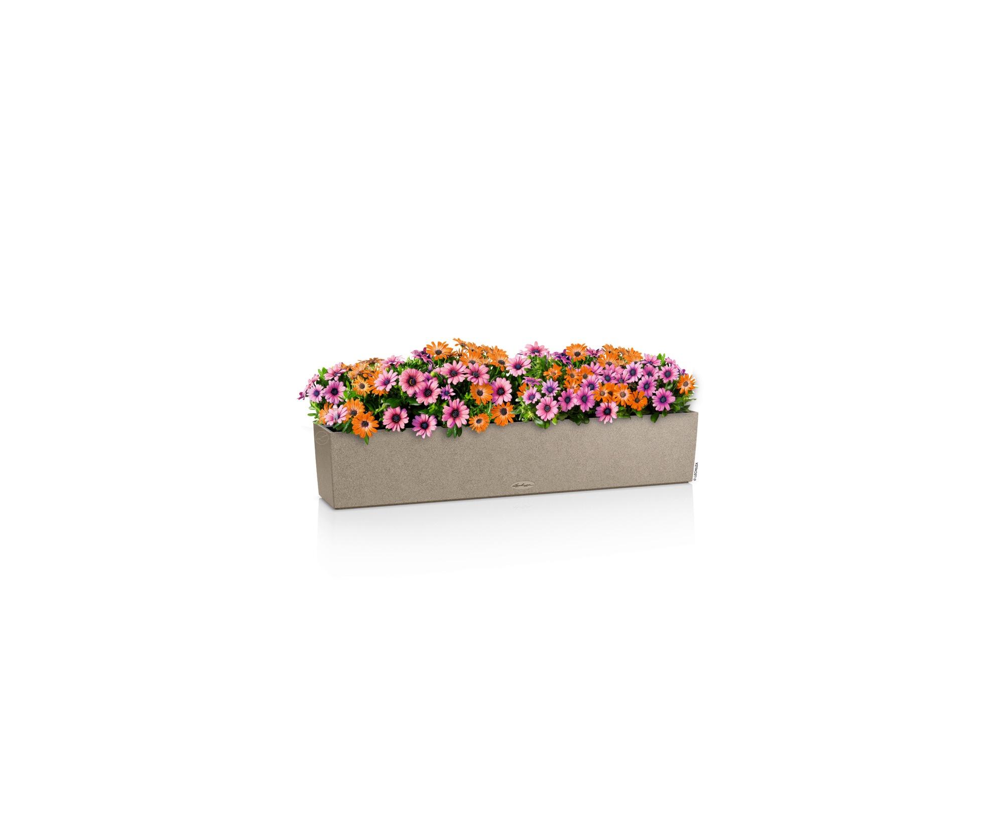 Lechuza Blumenkasten Balconera Stone 100 Sandbeige 15437