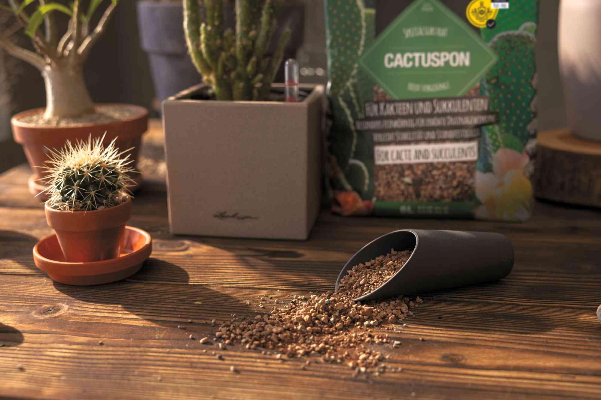 Lechuza Substrat Cactuspon 6L Kaktus - Sukkulenten 19546