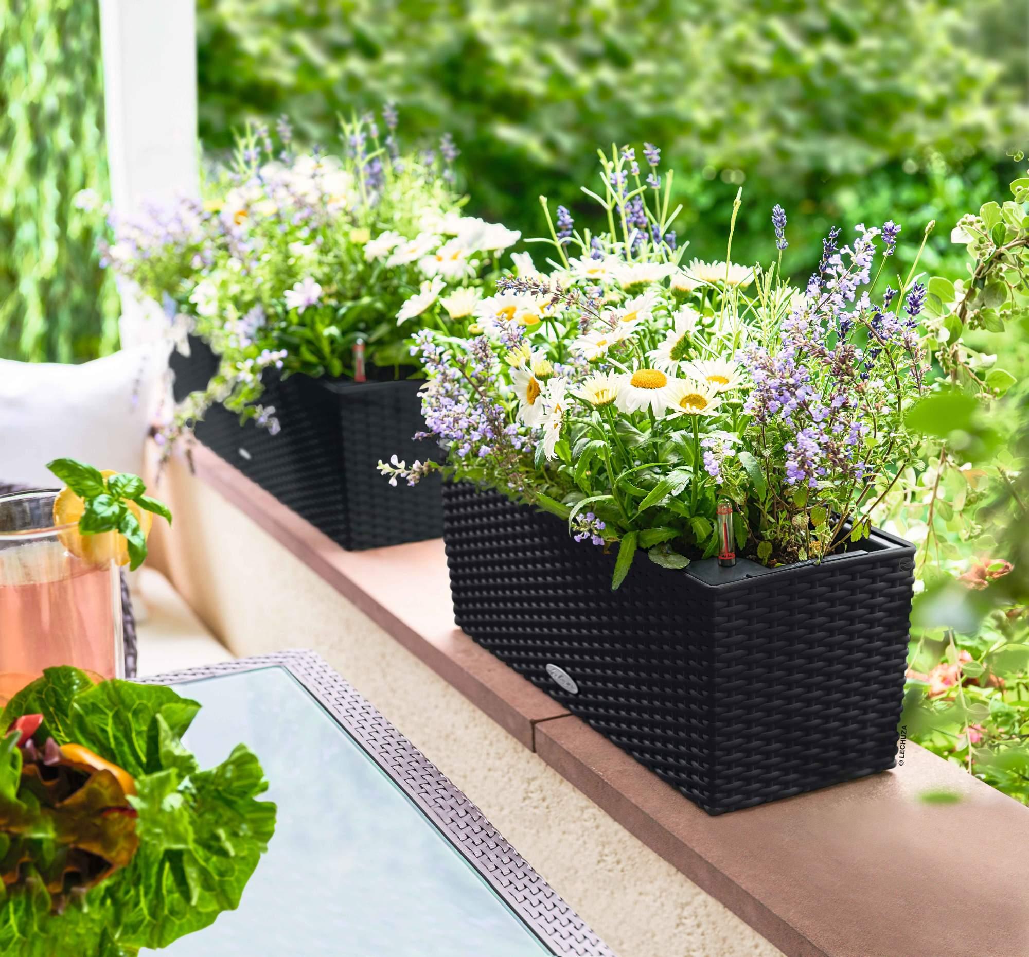 Lechuza Blumenkasten Balconera Cottage 50 graphitschwarz Lechuza Blumenkasten Balconera Cottage 50 graphitschwarz