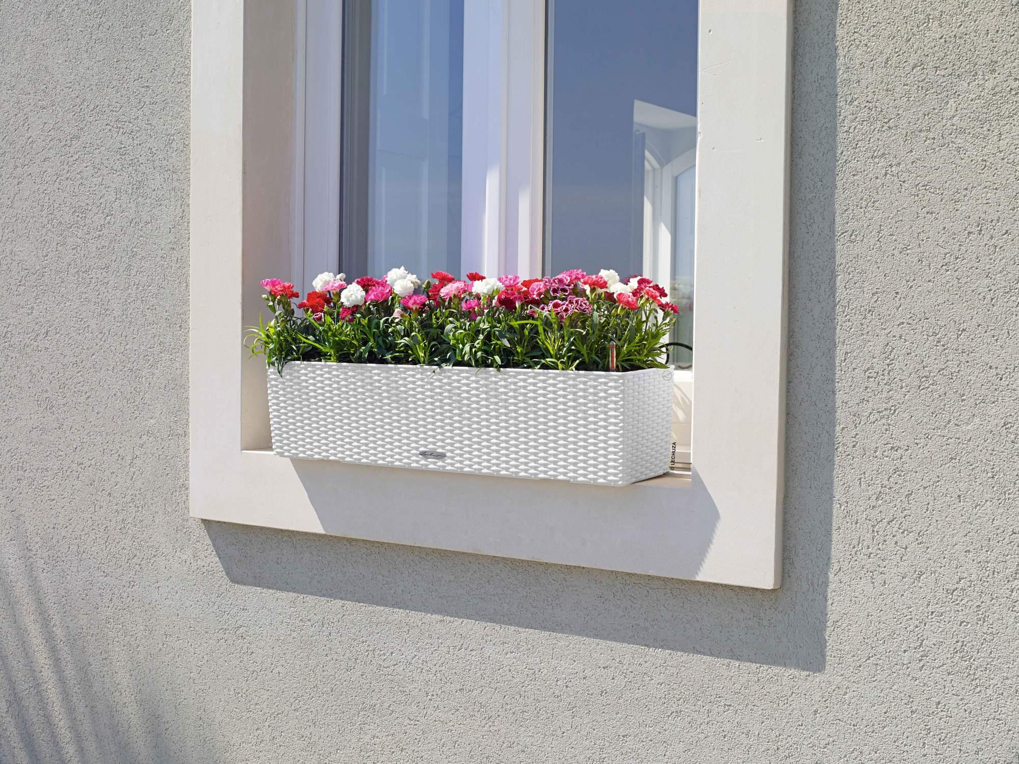 Lechuza Blumenkasten Balconera Cottage 80 weiß Lechuza Blumenkasten Balconera Cottage 80 weiß