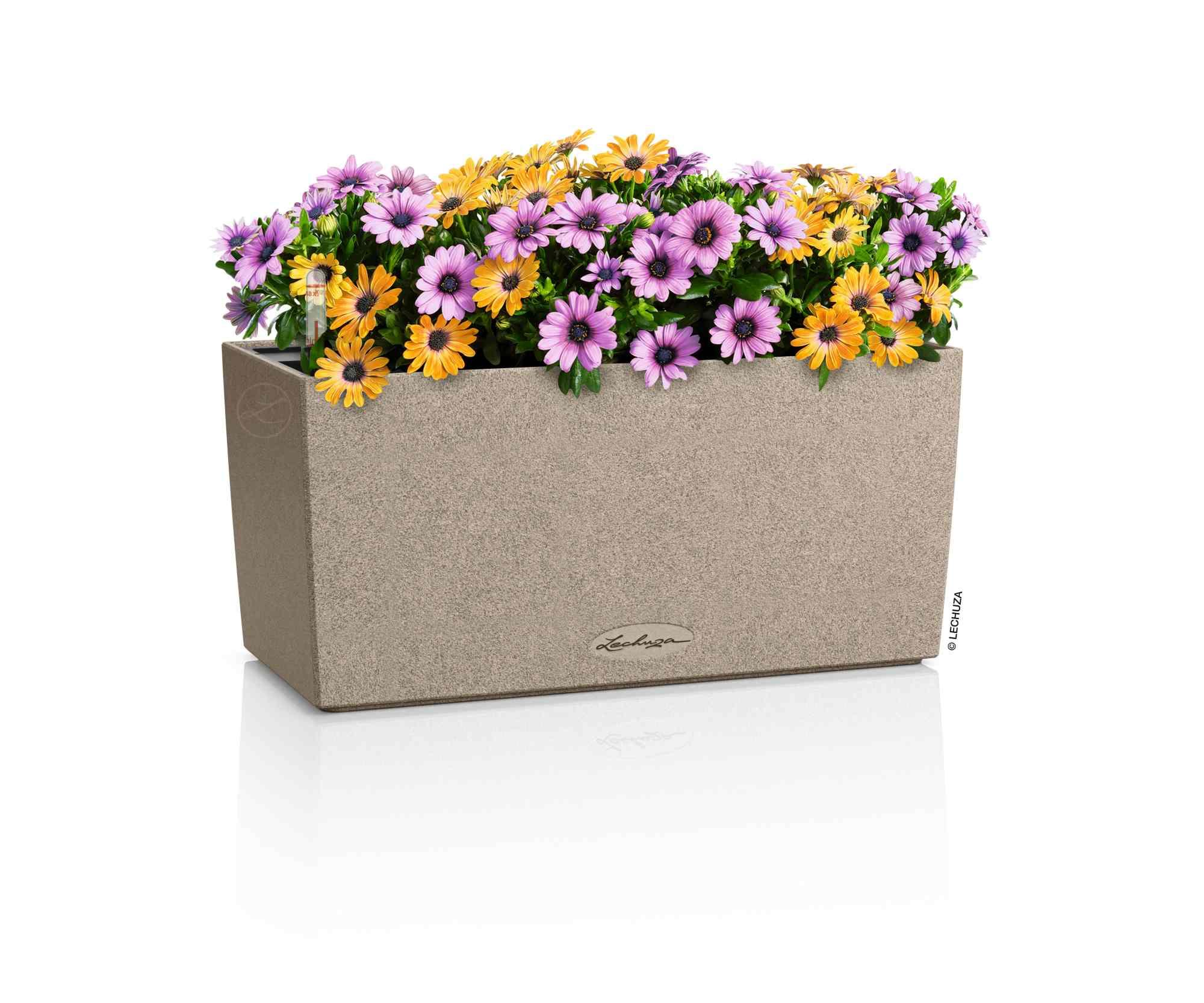 Lechuza Blumenkasten Balconera Stone 40 Sandbeige 15432