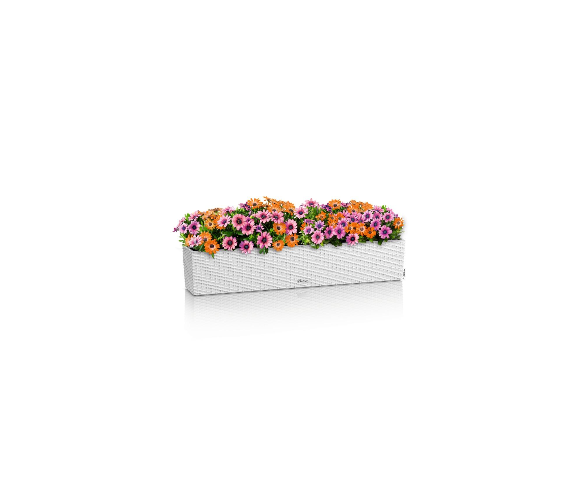 Lechuza Blumenkasten Balconera Cottage 100 Weiß 15910