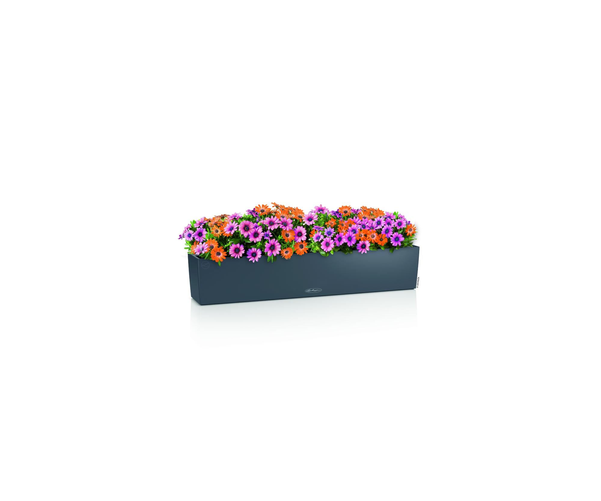 Lechuza Blumenkasten Balconera Color 100 Schiefergrau 15918