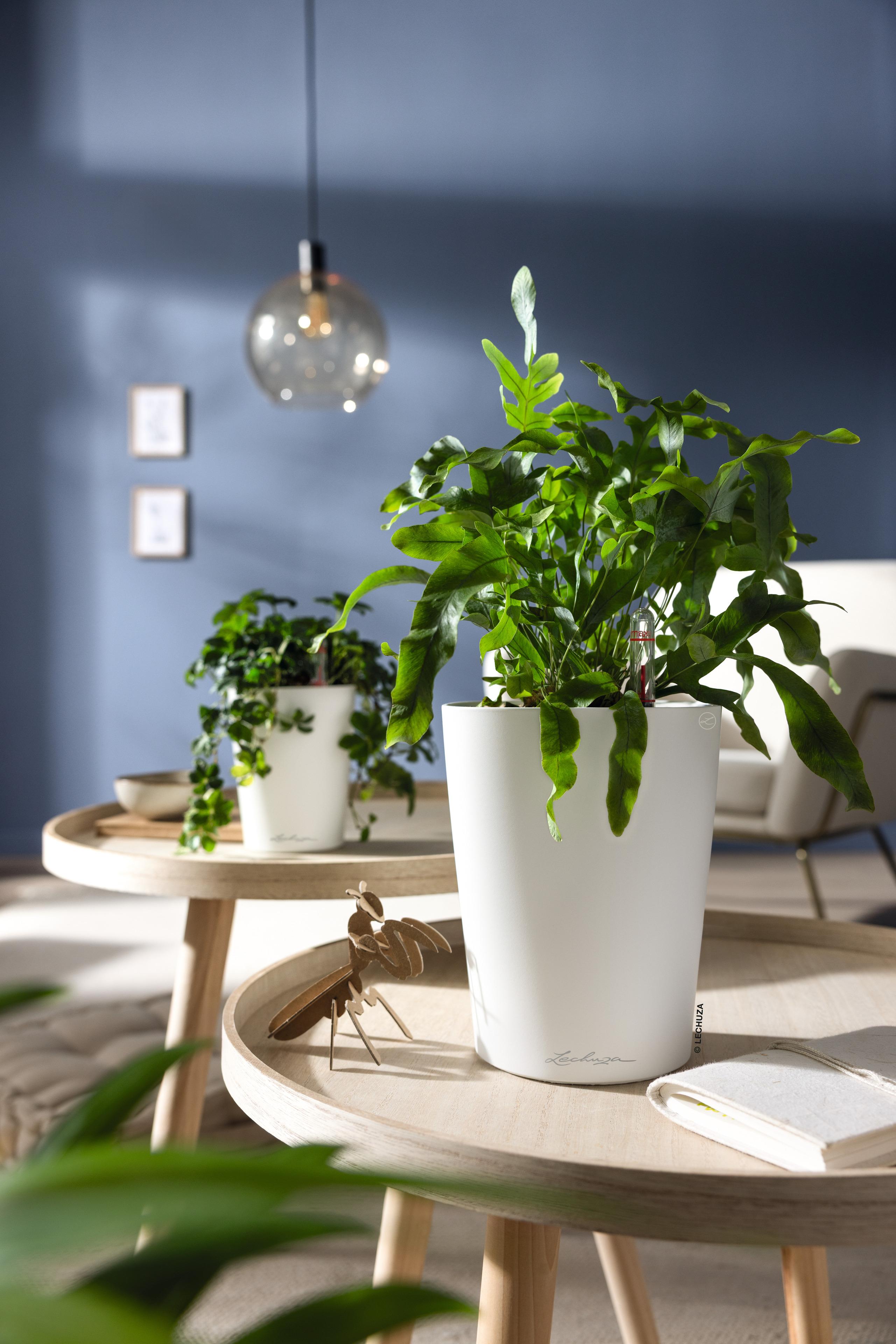 Lechuza Blumentopf klein Mini Deltini weiß matt 14944 Lechuza Blumentopf klein Mini Deltini weiß matt 14944