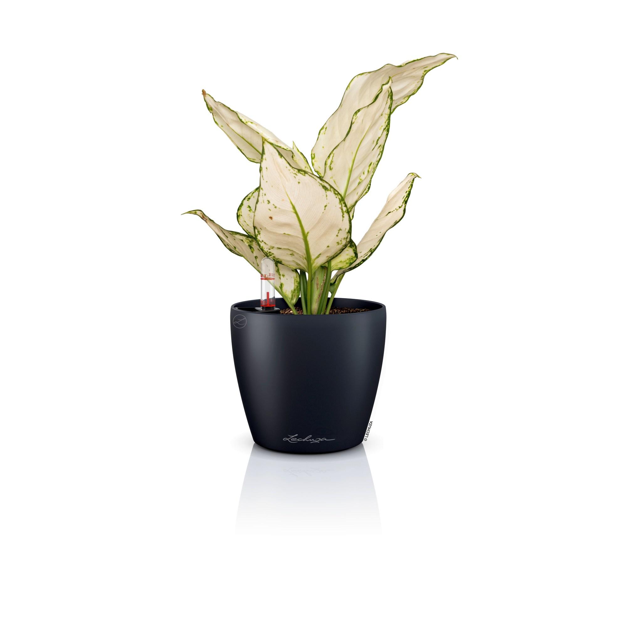 Lechuza Blumentopf rund Classico Color 12 schiefergrau