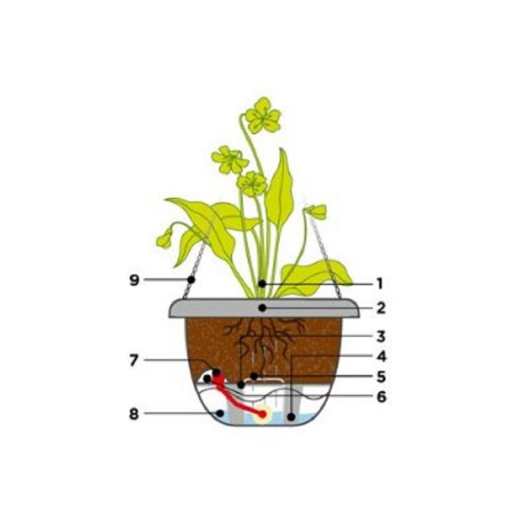 Plastia Blumenampel Mareta 25 grün Wasserspeicher Plastia Blumenampel Mareta 25 grün Wasserspeicher