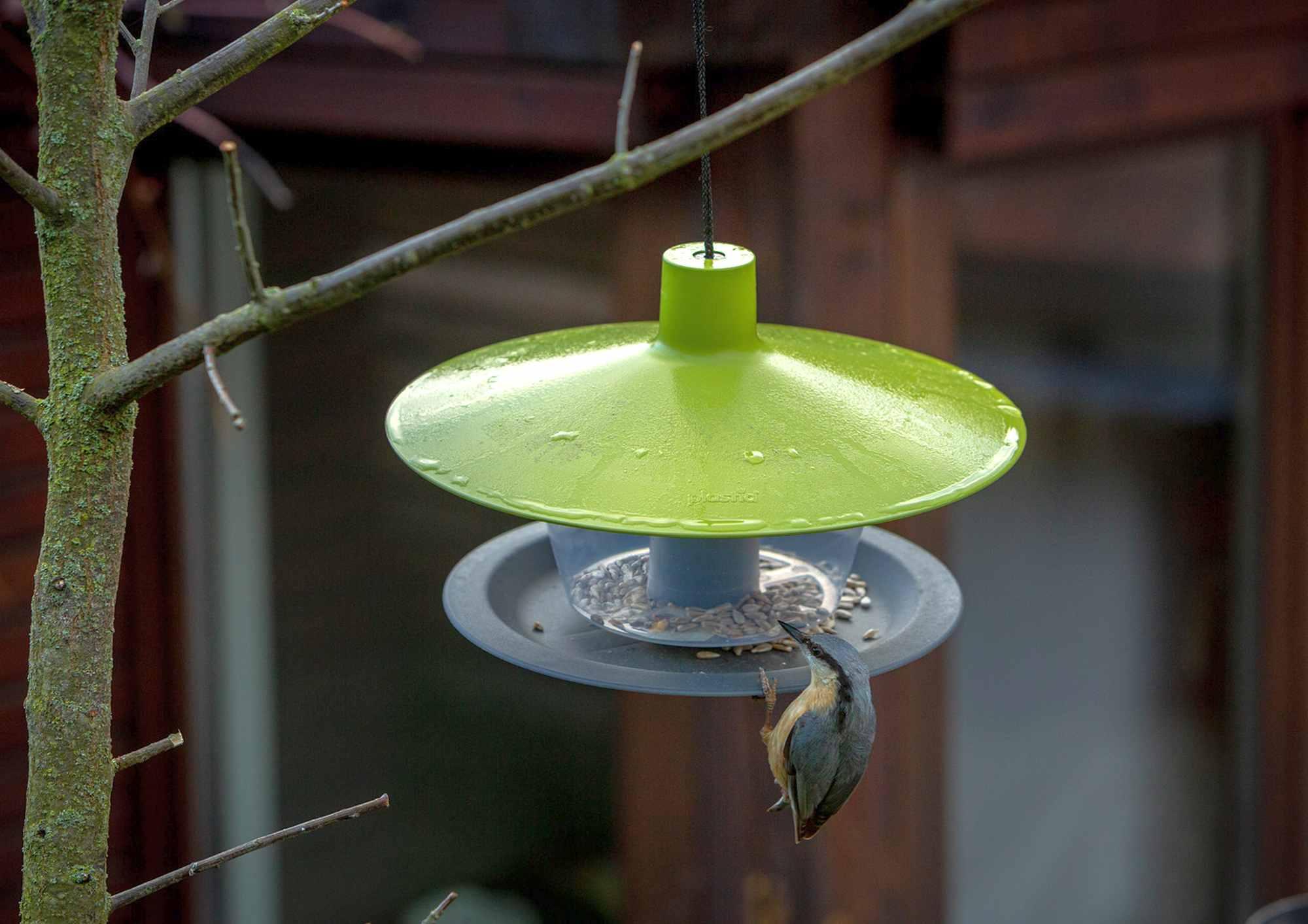 Plastia Vogelfutterhaus Finch grün-grau Kunststoff