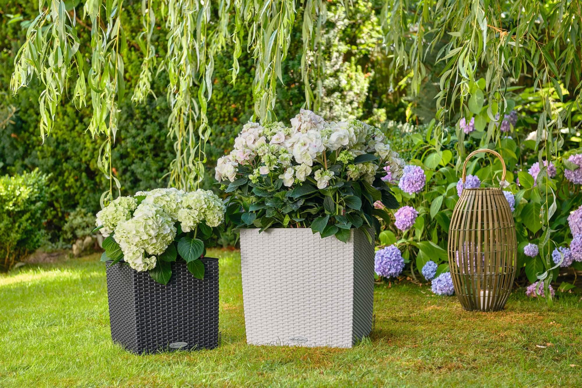 Lechuza Blumentopf groß Cube Cottage 30 granit grau