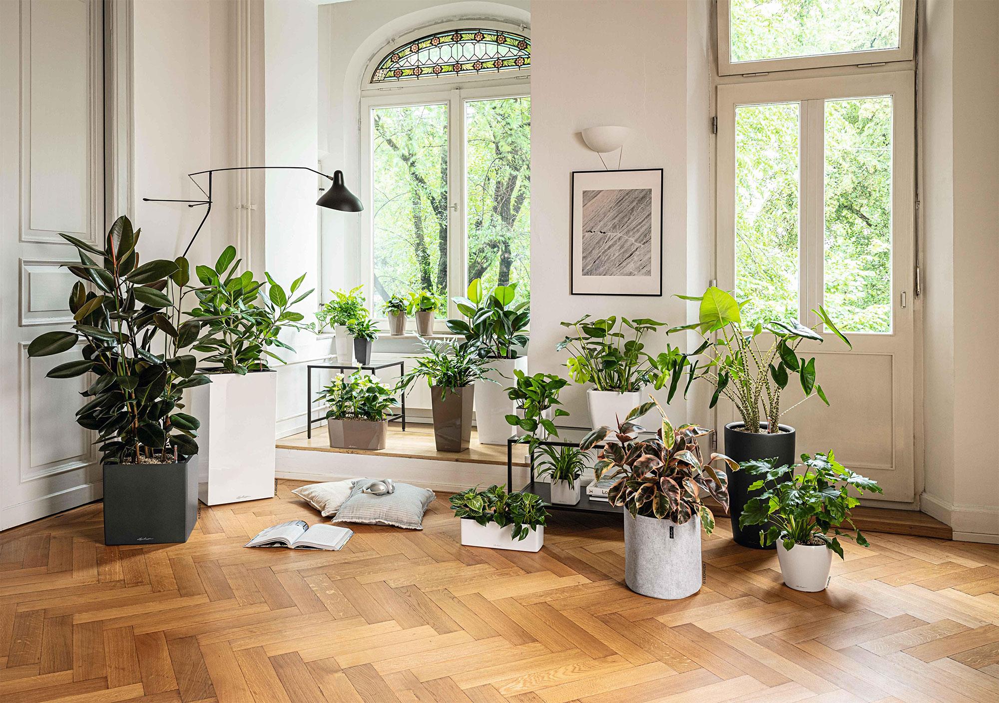 Lechuza Blumentopf groß Quadro LS 35 weiß hochglanz