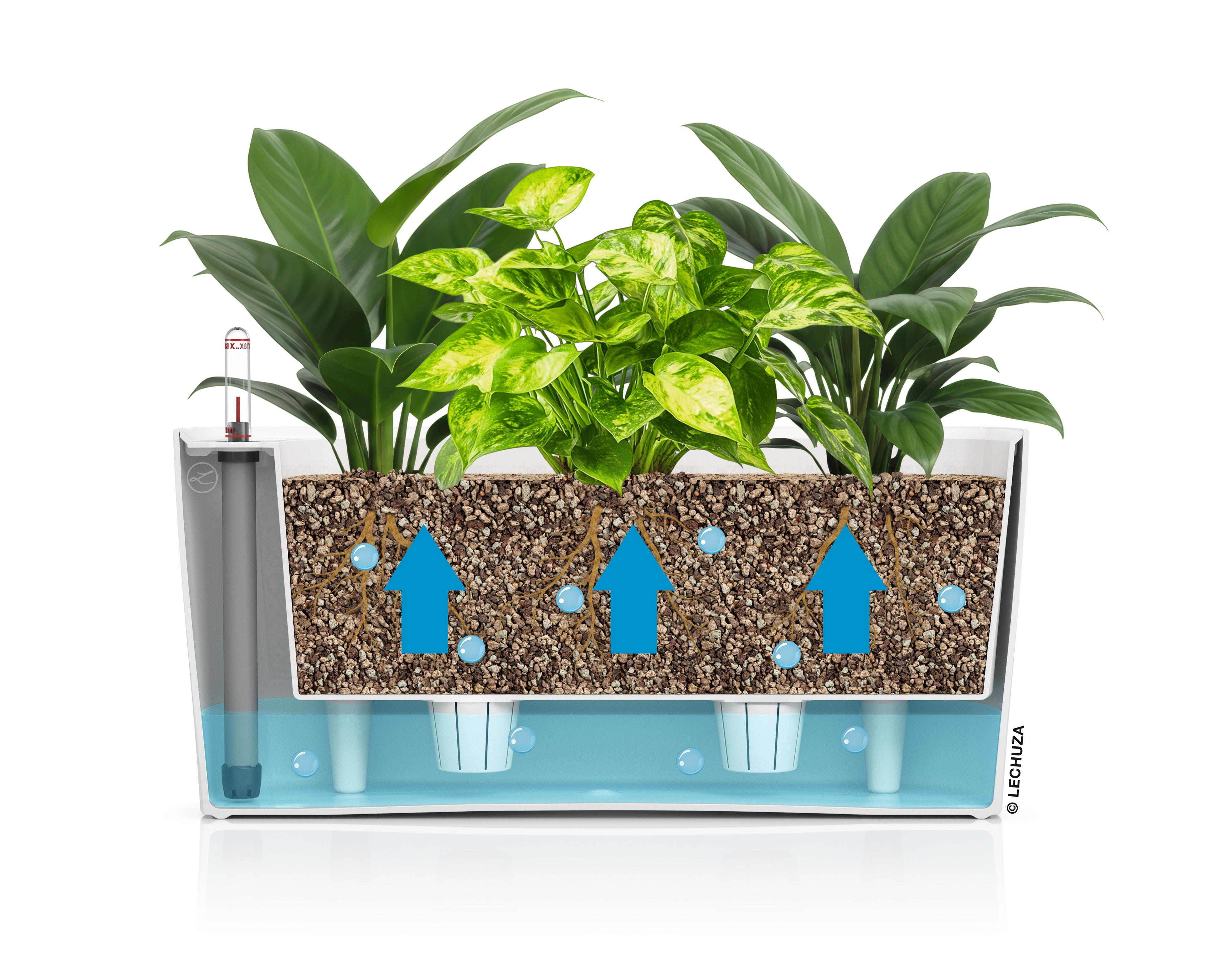 Lechuza Blumentopf rechteckig Delta 20 basaltgrau 15576