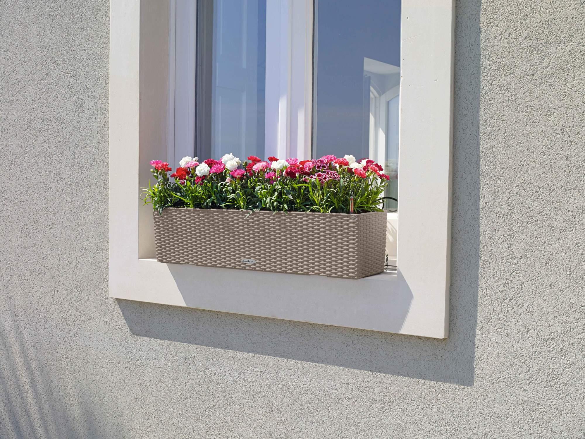 Lechuza Blumenenkasten Balconera Cottage 80 sandbraun 