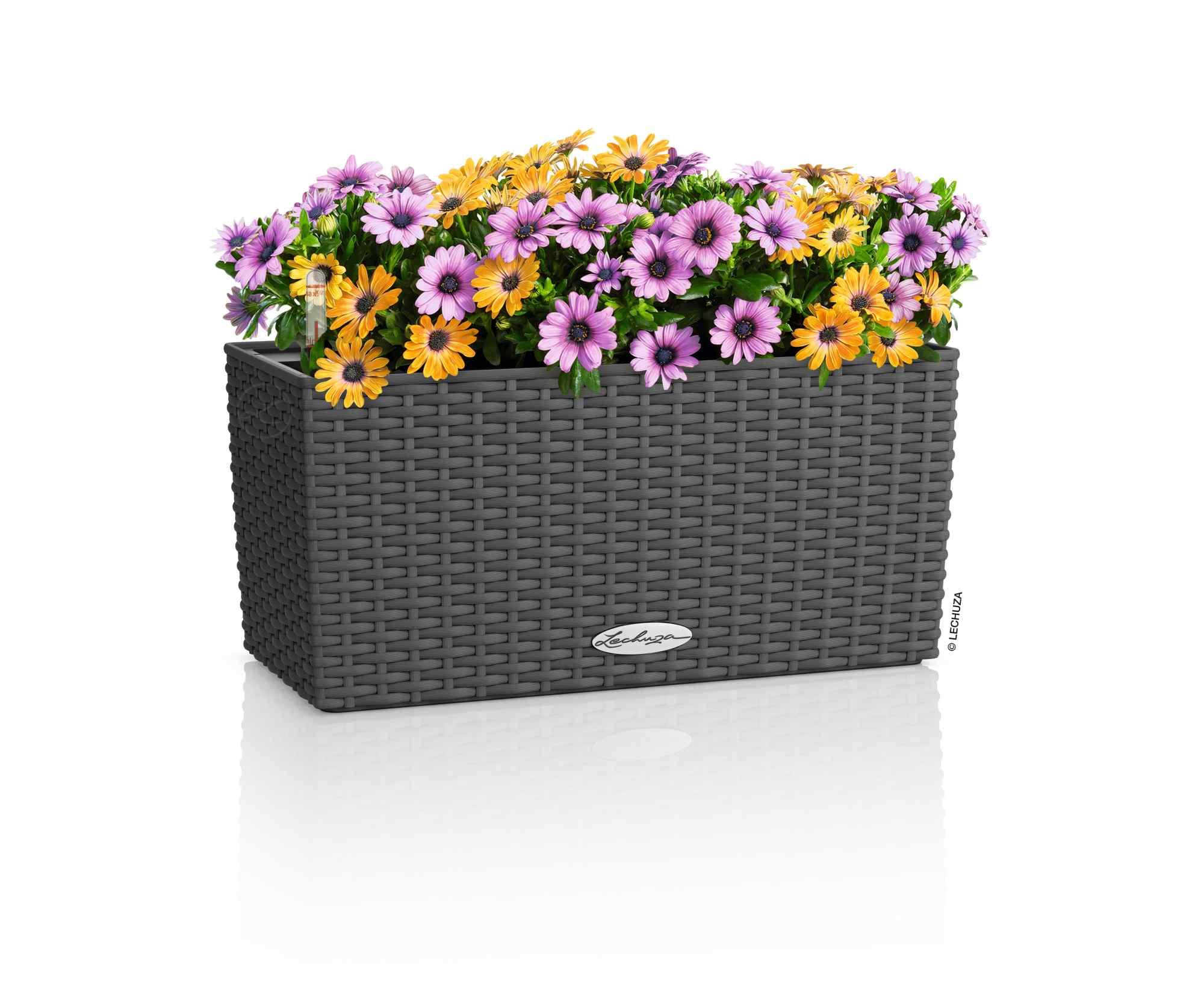 Lechuza Blumenkasten Balconera Cottage 40 Granit 15471