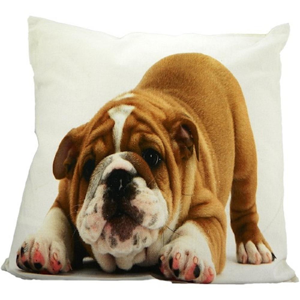 Mars & More Kissen Englische Bulldogge, GKKSBP Mars & More Kissen Englische Bulldogge, GKKSBP