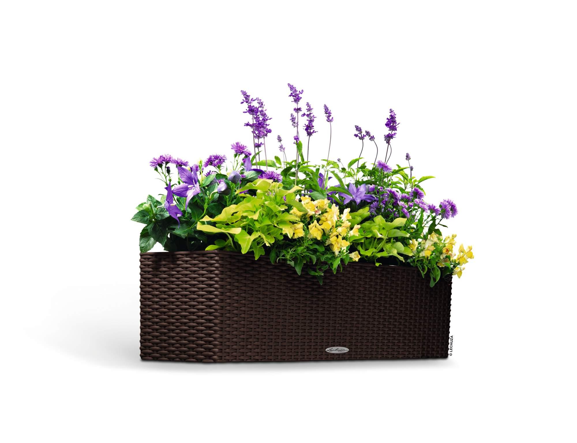 Lechuza Blumenkasten Balconera Cottage 80 mokka braun