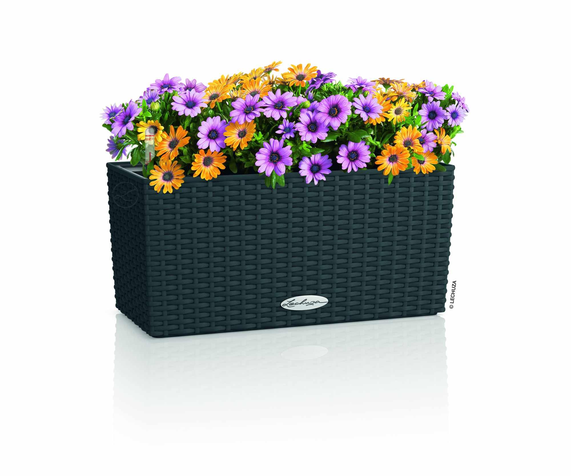 Lechuza Blumenkasten Balconera Cottage 40 Graphitschwarz 15475