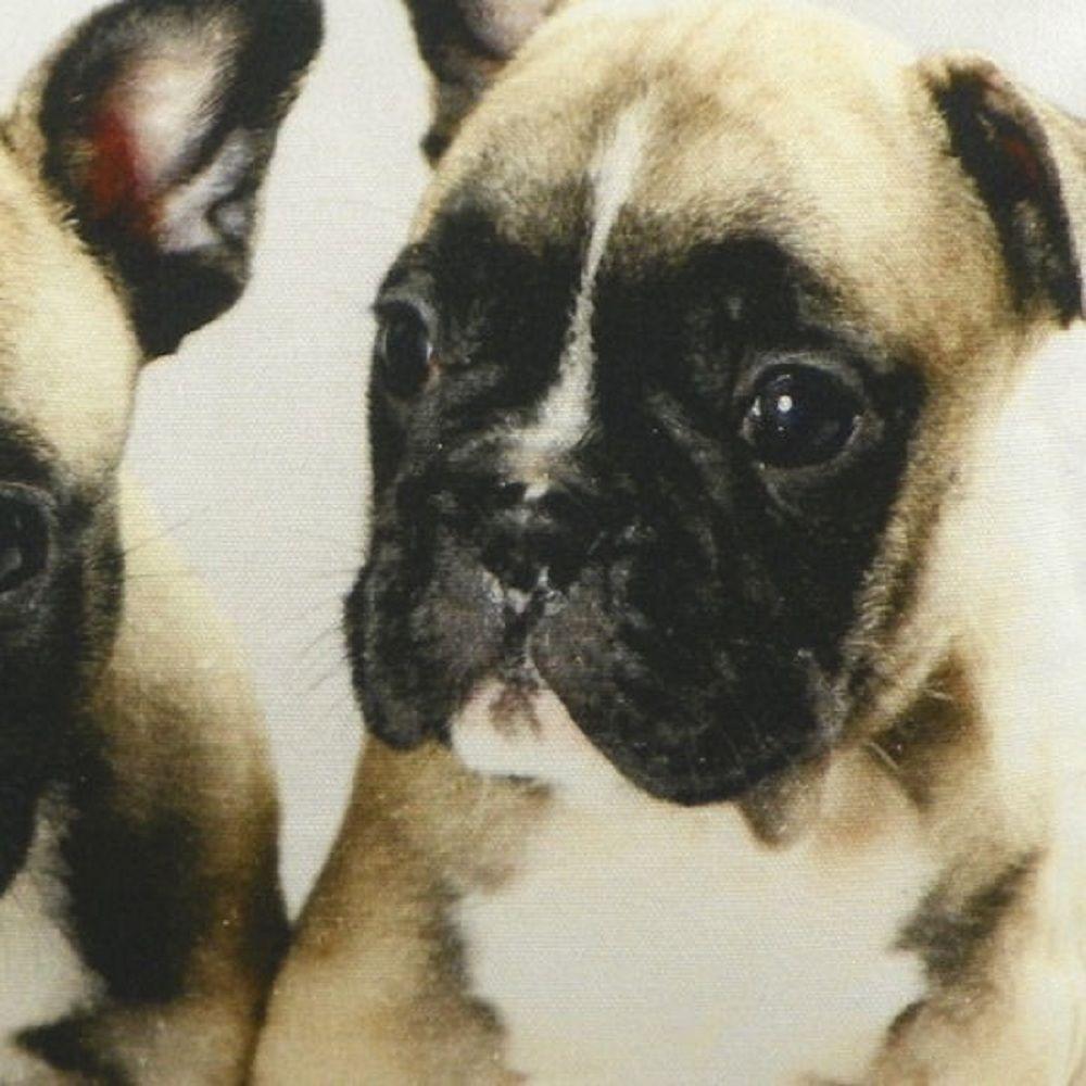 Mars & More Kissen Französische Bulldoggen Welpen, GKHKPFB