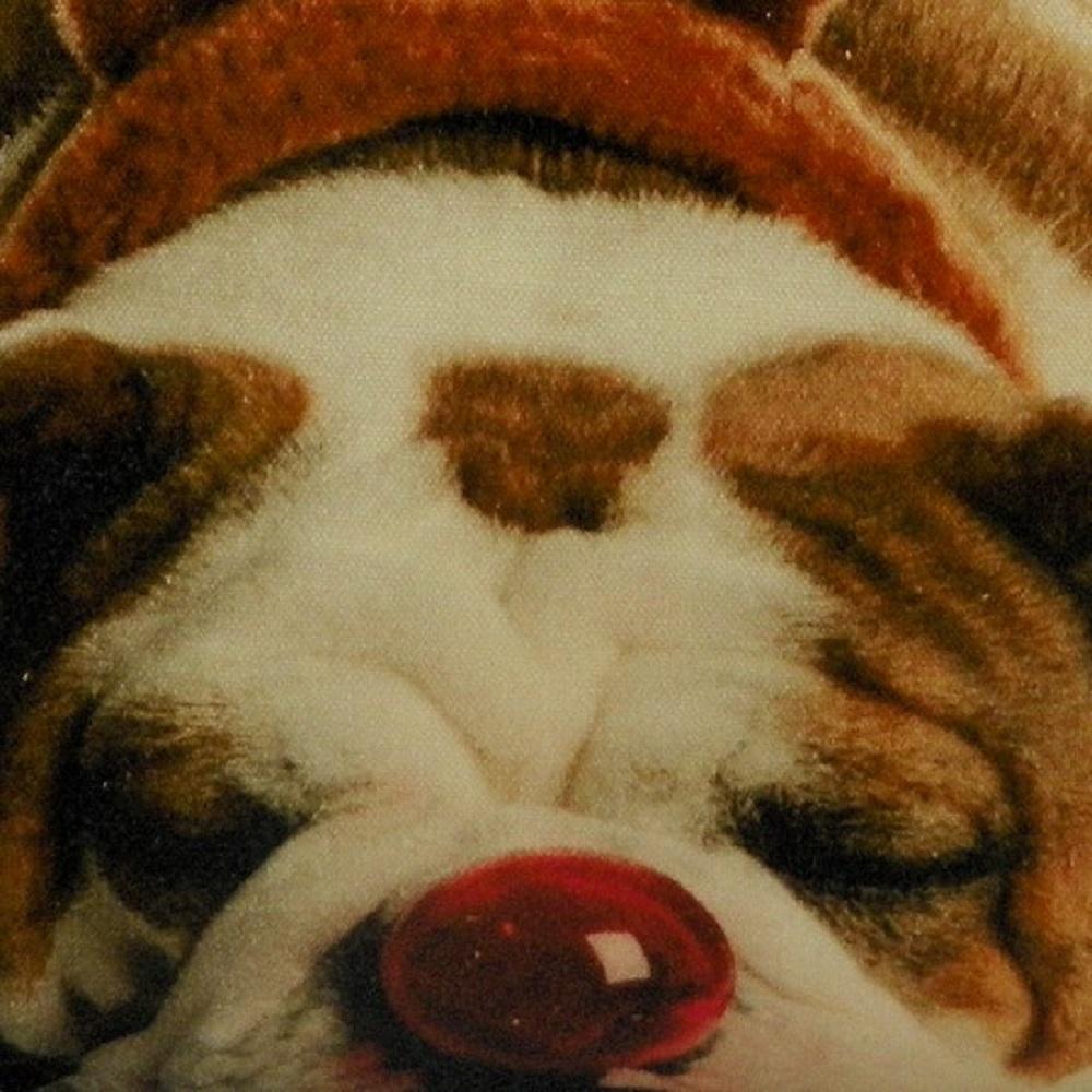 Mars & More Dekokissen Weihnachten Englische Bulldogge, GKKSKEB Mars & More Dekokissen Weihnachten Englische Bulldogge, GKKSKEB
