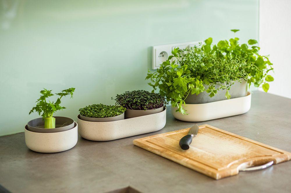 Plastia Urbalive 1er Pflanzschale Keimsprosskit Microgreens 