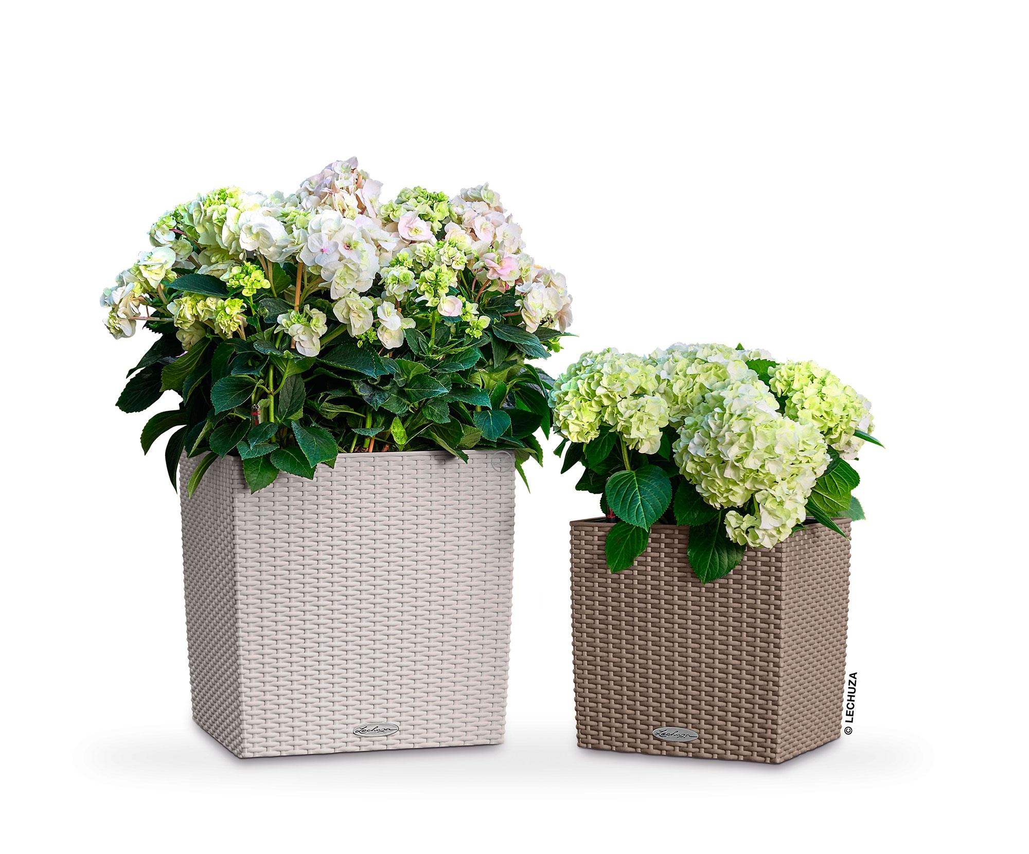 Lechuza Blumentopf groß Cube Cottage 30 sandbraun