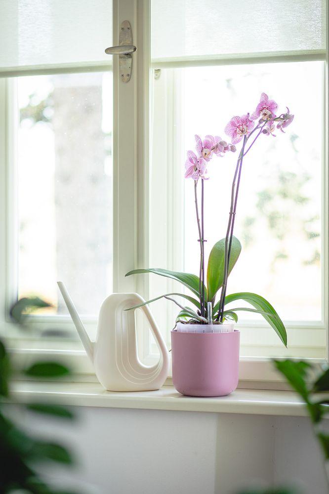 Plastia Gießkanne Gradient 1,4l Elfenbein Weiß Kunststoff Plastia Gießkanne Gradient 1,4l Elfenbein Weiß Kunststoff