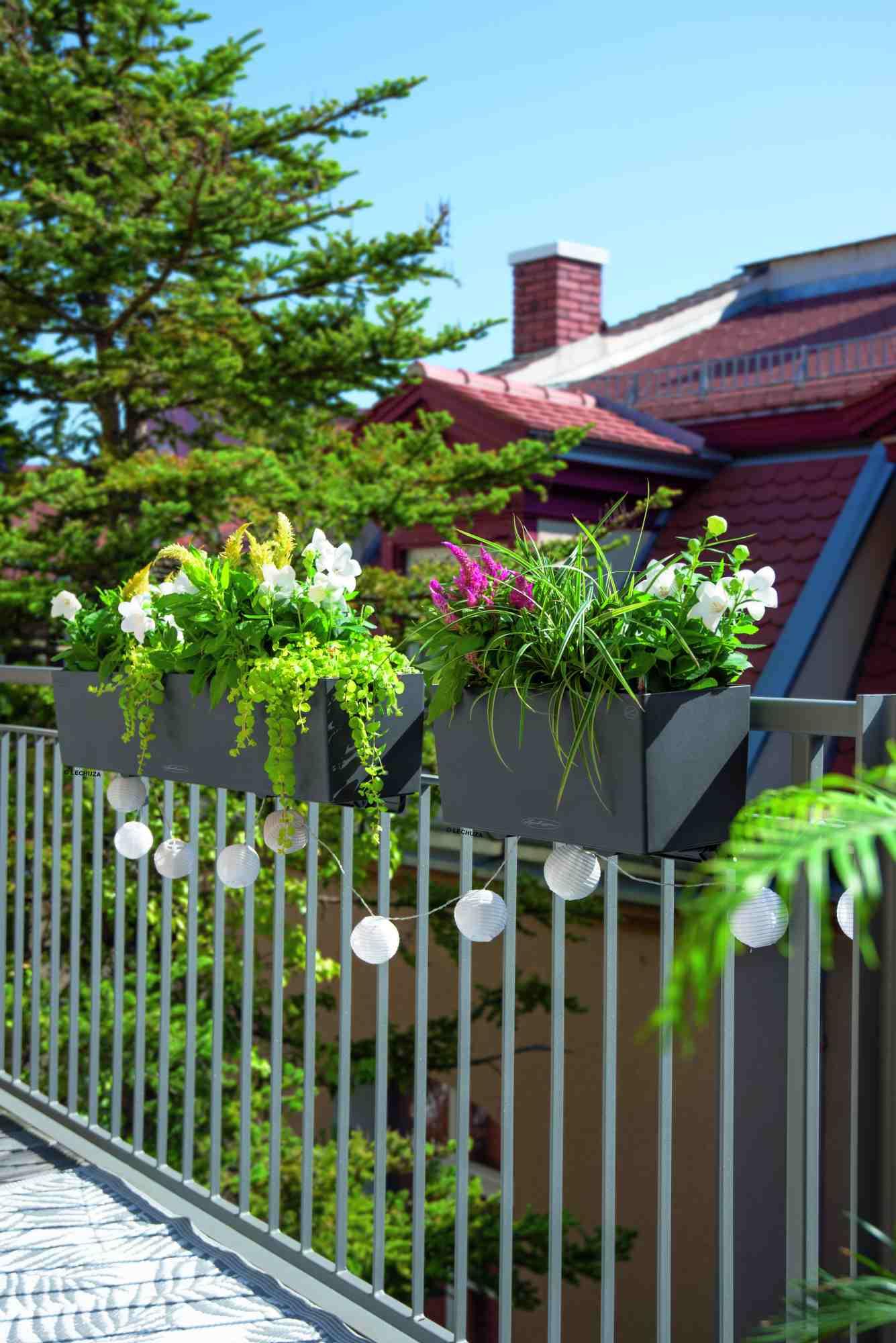 Lechuza Blumenkasten Balconera Color 40 Schiefergrau 15478