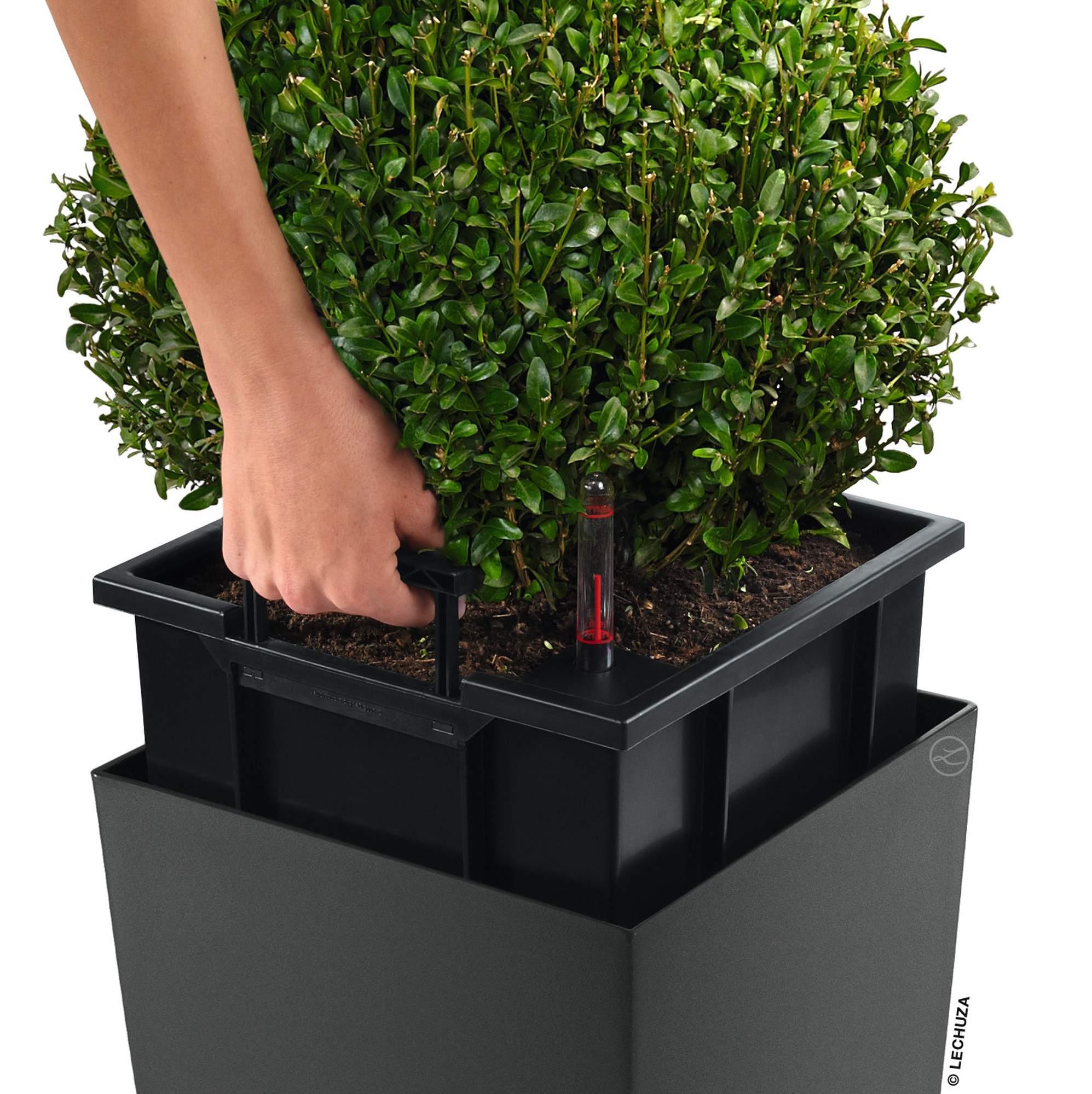 Lechuza Pflanzkübel hoch Cubico 30 anthrazit metallic grau Lechuza Pflanzkübel hoch Cubico 30 anthrazit metallic grau