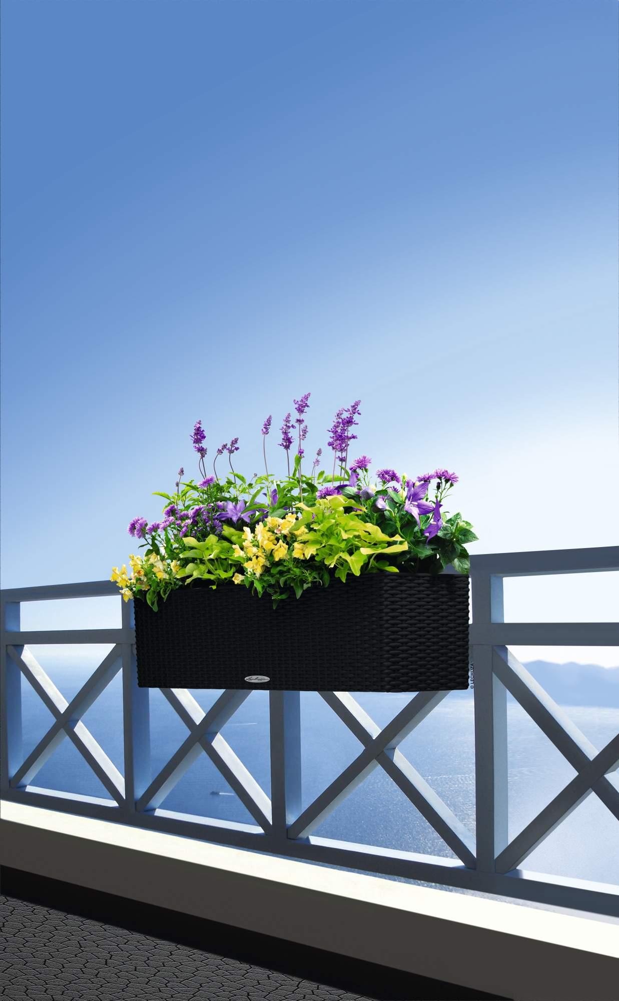 Lechuza Blumenkasten Balconera Cottage 80 graphitschwarz
