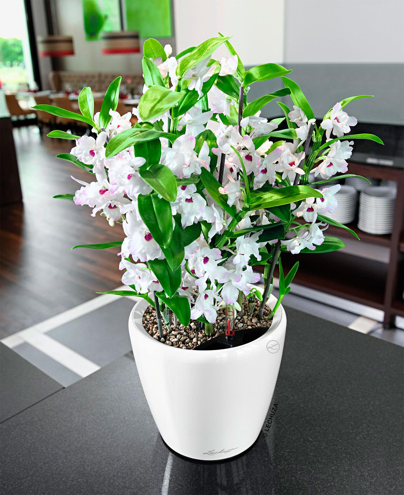 Lechuza Blumentopf rund Classico 21 LS weiß hochglanz