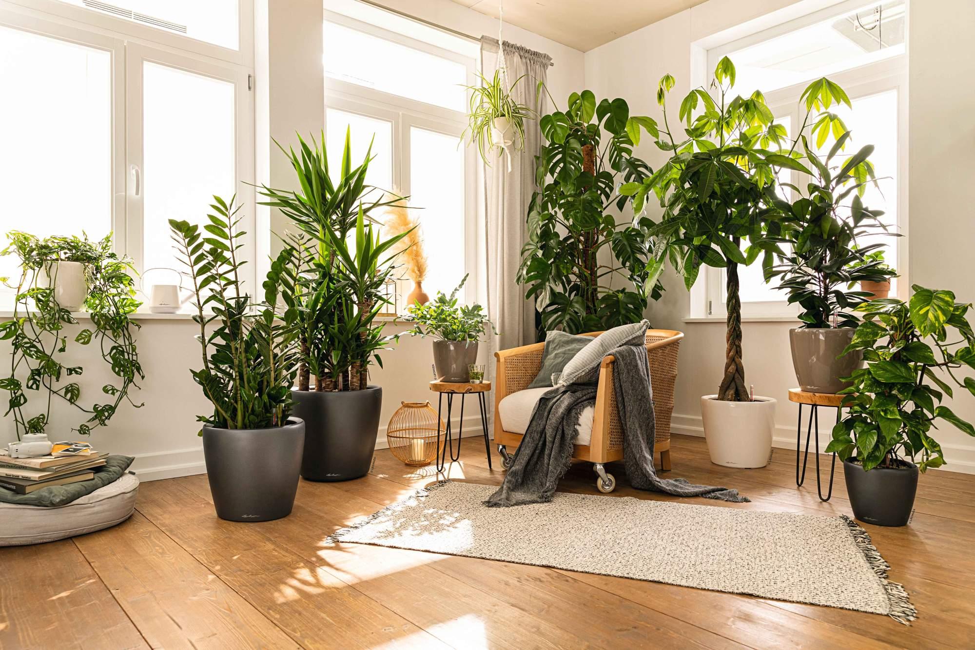 Lechuza Blumentopf rund Classico LS 28 anthrazit metallic