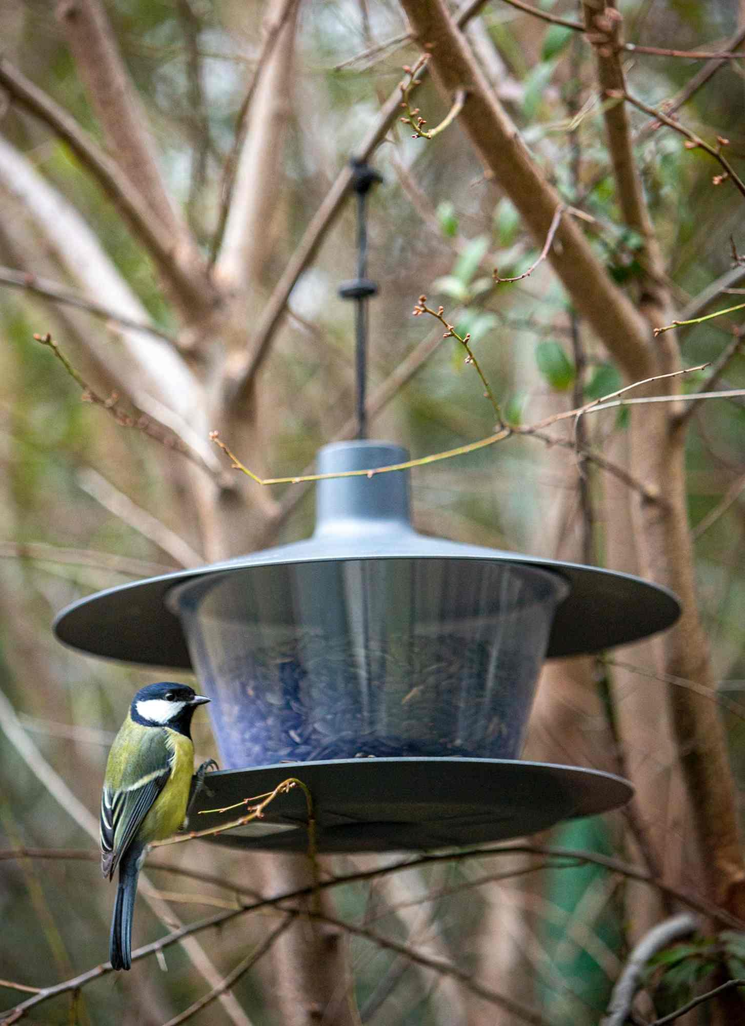 Plastia Vogelfutterhaus Finch anthrazit grau Kunststoff Plastia Vogelfutterhaus Finch anthrazit grau Kunststoff