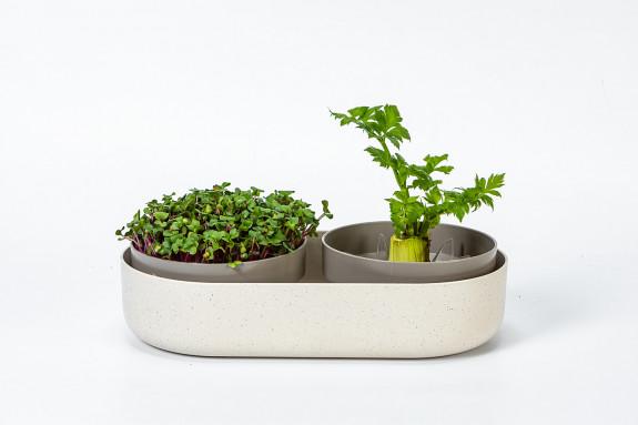 Plastia Pflanzschale Keimsprosskit Microgreens Urbalive Elfe