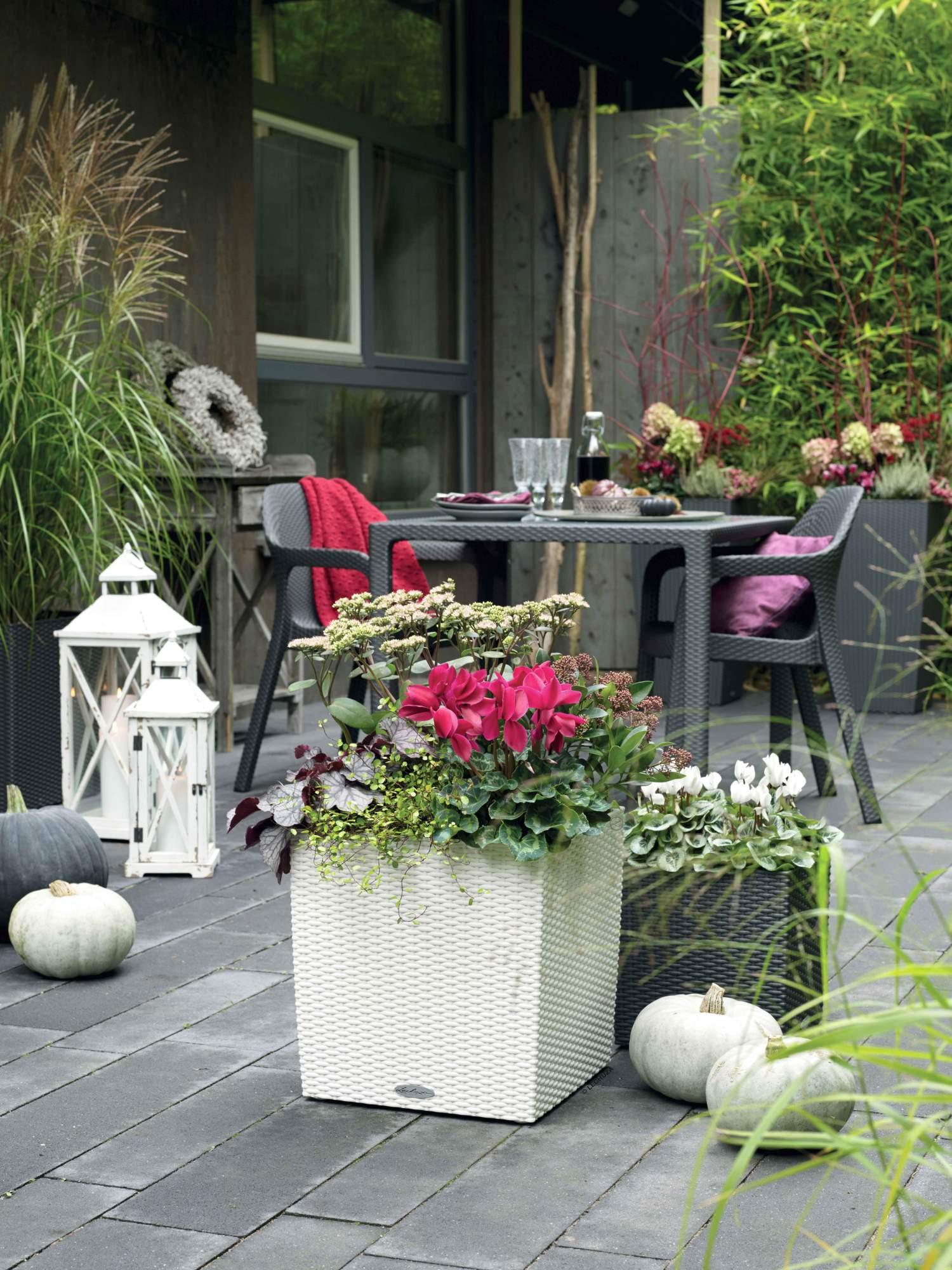 Lechuza Blumentopf groß Cube Cottage 30 granit grau