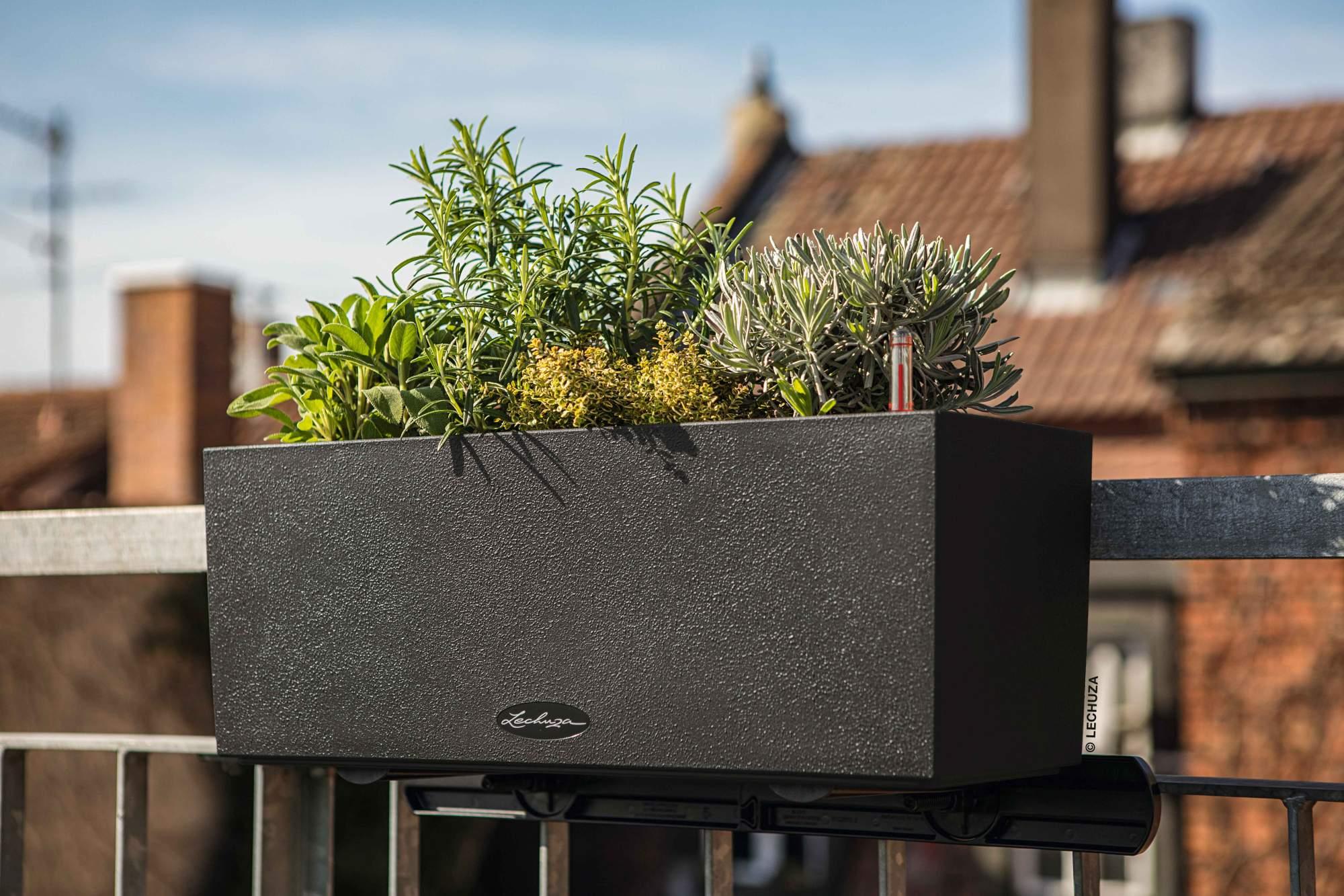 Lechuza Blumenkasten Balconera Stone 50 graphitschwarz Lechuza Blumenkasten Balconera Stone 50 graphitschwarz