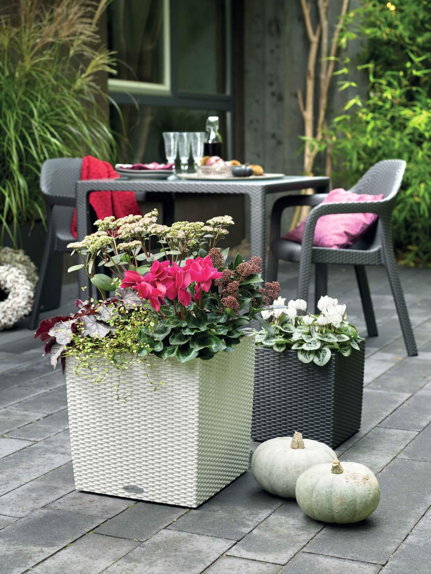 Lechuza Blumentopf groß Cube Cottage 30 granit grau